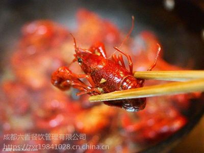 小龍蝦底料批發(fā),麻辣小龍蝦底料廠家